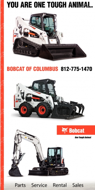 You Are One Tough Animal., Bobcat Of Columbus